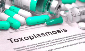 ¿Qué es la toxoplasmosis y cómo prevenirla?