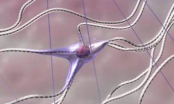 La importancia vital del colágeno para la salud