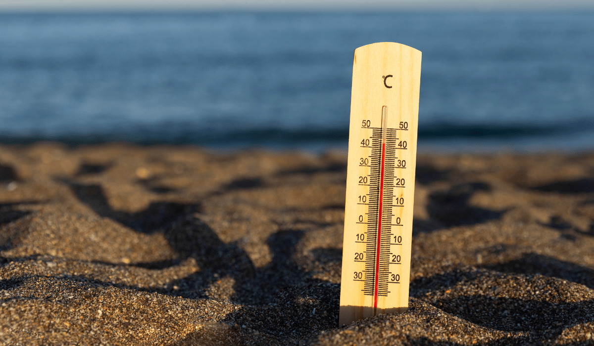 ¿Cómo cuidarse durante una ola de calor? ¿Cómo cuidarse durante una ola de calor?