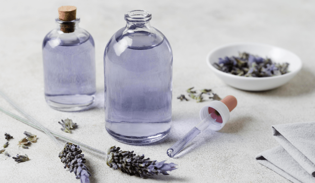 Lavanda, una planta aromática y versátil